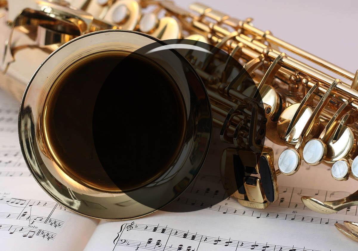 Sax1