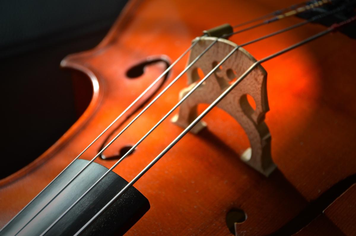 cello-2820989